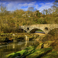 Buy canvas prints of The Old Road Bridge, Cenarth, Carmarthenshire, Wal by Mark Llewellyn