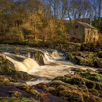Buy canvas prints of Cenarth Falls and Mill, Carmarthenshire, Wales, UK by Mark Llewellyn