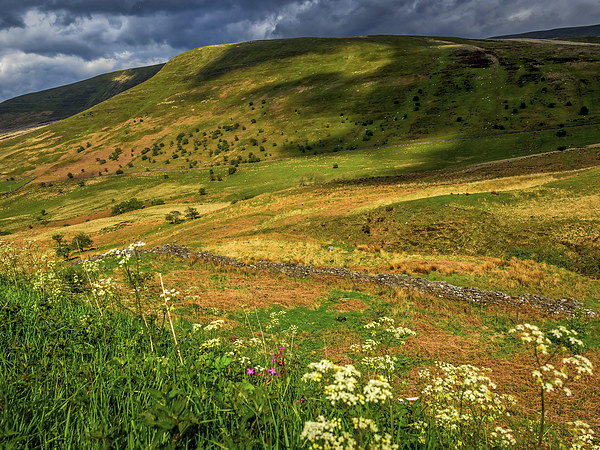 Brecon Beacons, Wales, UK Picture Board by Mark Llewellyn
