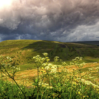 Buy canvas prints of Brecon Beacons, Wales, UK by Mark Llewellyn