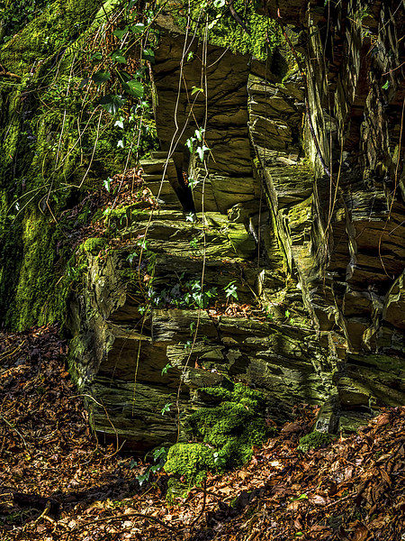Slate Quarry, Cilgerran, Pembrokeshire, Wales, UK Picture Board by Mark Llewellyn