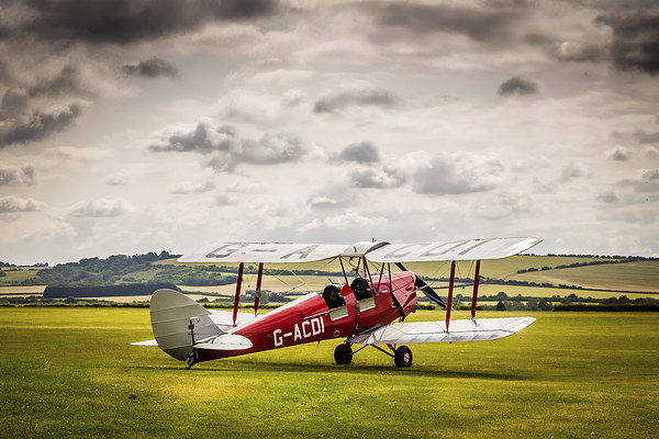 Tiger Moth Picture Board by Mark Llewellyn