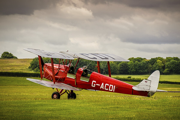 Tiger Moth Picture Board by Mark Llewellyn