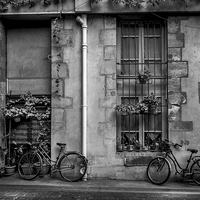 Buy canvas prints of French Bicycles, Paris, France by Mark Llewellyn