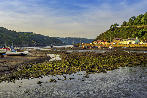 Lower Fishguard Harbour, Pembrokeshire, Wales, UK Picture Board by Mark Llewellyn