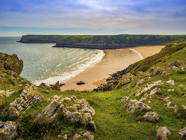 Barafundle Bay, Pembrokeshire, Wales, UK Picture Board by Mark Llewellyn