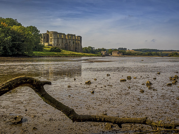 River Carew Estuary, Pembrokeshire, Wales, UK Picture Board by Mark Llewellyn