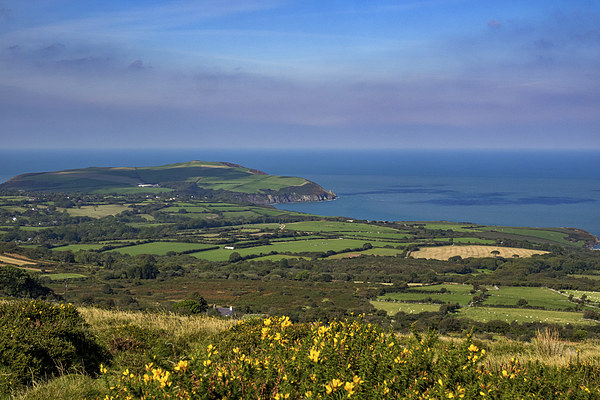 Dinas Head, Pembrokeshire, Wales, UK Picture Board by Mark Llewellyn