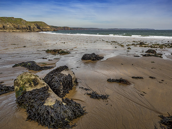 Barafundle Bay, Pembrokeshire, Wales, UK Picture Board by Mark Llewellyn