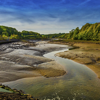 Buy canvas prints of Carew River Estuary, Carew, Pembrokeshire, Wales,  by Mark Llewellyn