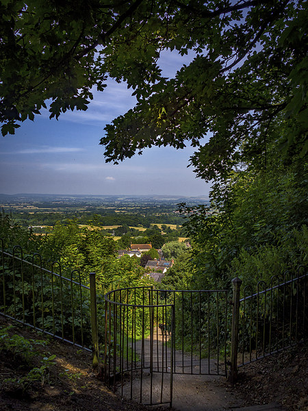 Shaftesbury View, Shaftesbury, England, UK Picture Board by Mark Llewellyn