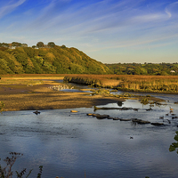 Buy canvas prints of Newport Marshes, Pembrokeshire, Wales, UK by Mark Llewellyn
