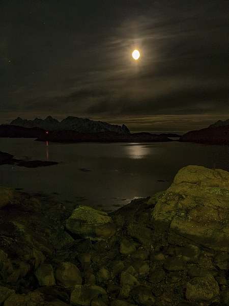 Svolvaer Bay by Night, Norway Picture Board by Mark Llewellyn