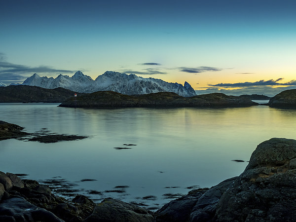 Lofoten Sunrise, Norway Picture Board by Mark Llewellyn