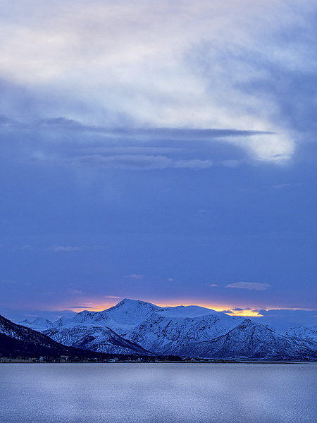 Arctic Sundown, Lofoten, Norway Picture Board by Mark Llewellyn