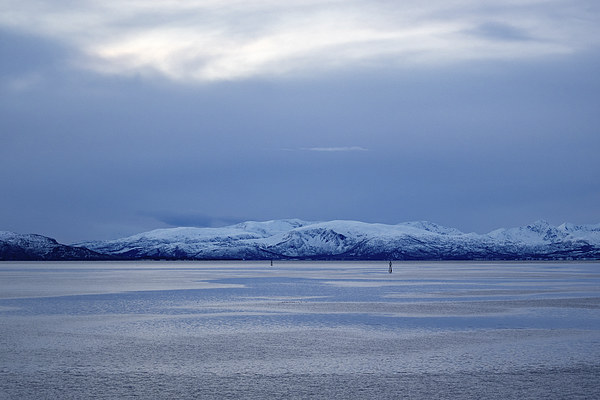 Island Passage, Lofoten, Norway Picture Board by Mark Llewellyn