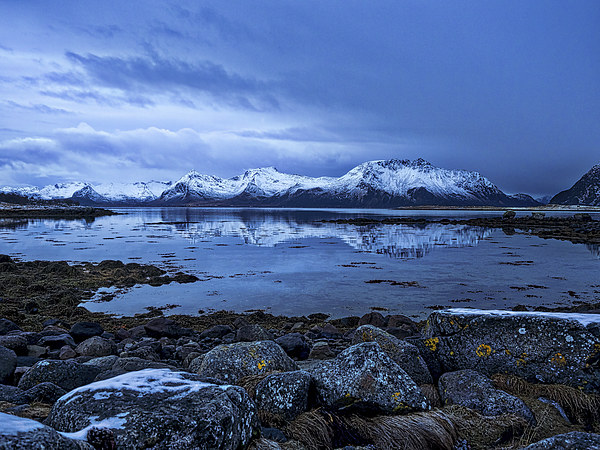 Arctic Reflections, Lofoten, Norway Picture Board by Mark Llewellyn