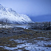 Buy canvas prints of Arctic Jetty, Lofoten, Norway by Mark Llewellyn