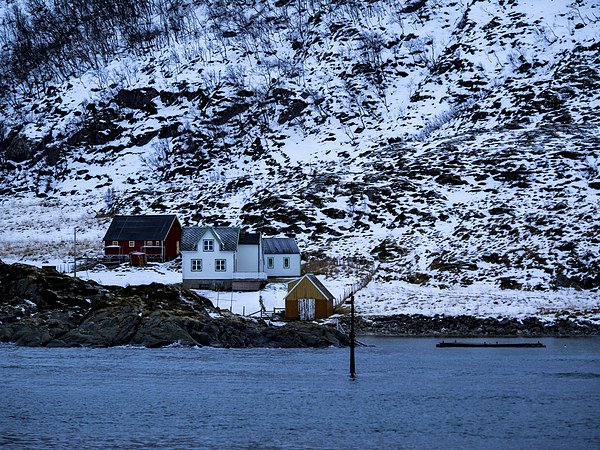 Norwegian Homes, Tromso, Norway Picture Board by Mark Llewellyn