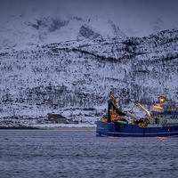 Buy canvas prints of Fishing in a Fjord, Tromso, Norway by Mark Llewellyn