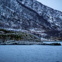 Buy canvas prints of Seabird Island, Lofoten, Norway by Mark Llewellyn