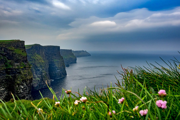 Cliffs of Moher, Ireland Picture Board by Mark Llewellyn