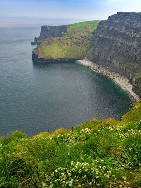 Cliffs of Moher, Ireland Picture Board by Mark Llewellyn
