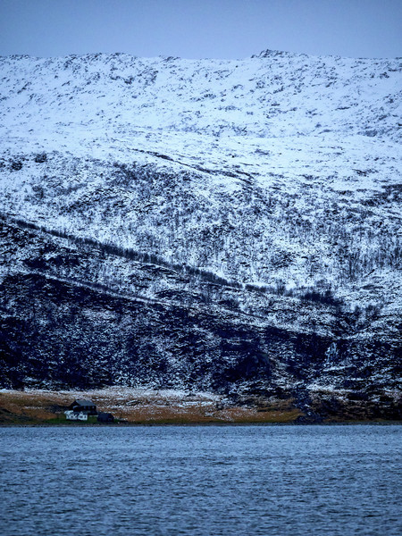 Norwegian Homes, Lofoten, Norway Picture Board by Mark Llewellyn