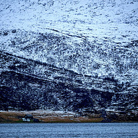 Buy canvas prints of Norwegian Homes, Lofoten, Norway by Mark Llewellyn