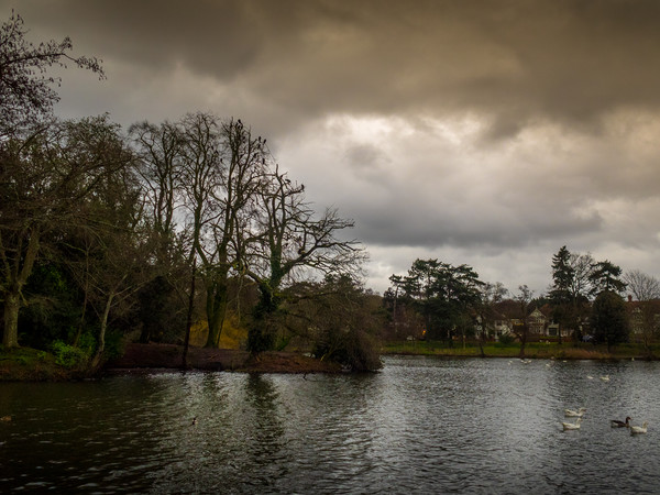 Roath Park Storm Clouds, Cardiff, Wales, UK Picture Board by Mark Llewellyn