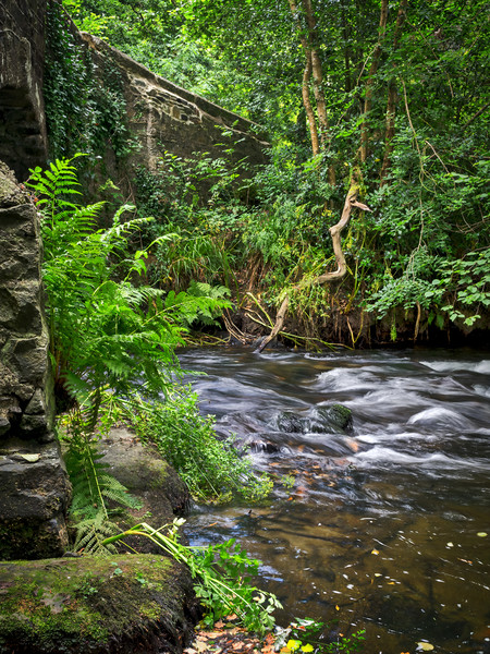 River Lynher, Cutmere, Cornwall, UK Picture Board by Mark Llewellyn