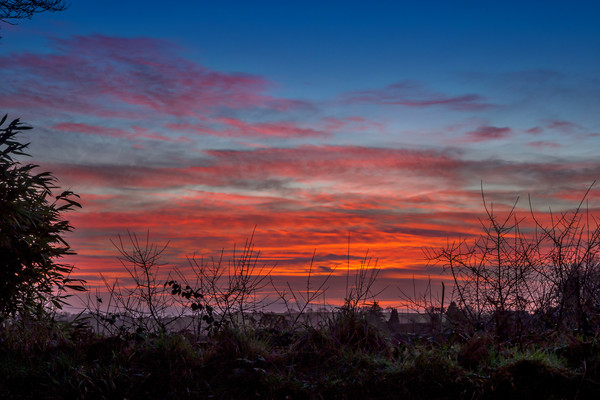 Fiery Sky, Pembrokeshire, Wales, UK Picture Board by Mark Llewellyn