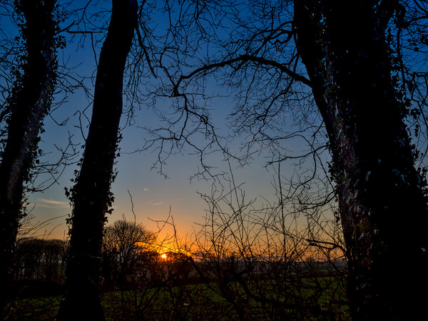 Boncath Sunset, Pembrokeshire, Wales, UK Picture Board by Mark Llewellyn