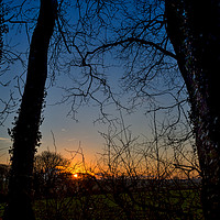 Buy canvas prints of Boncath Sunset, Pembrokeshire, Wales, UK by Mark Llewellyn
