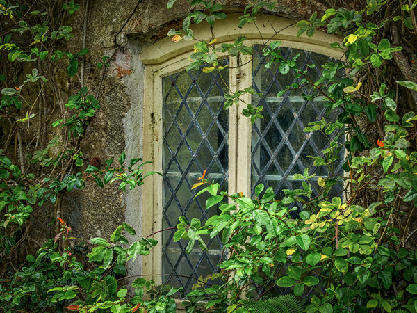 Traditional Window Picture Board by Mark Llewellyn