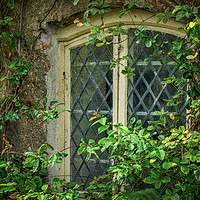 Buy canvas prints of Traditional Window by Mark Llewellyn