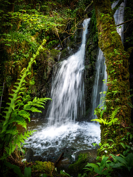 Aberfforest Waterfall, Pembrokeshire, Wales, UK Framed Mounted Print by Mark Llewellyn
