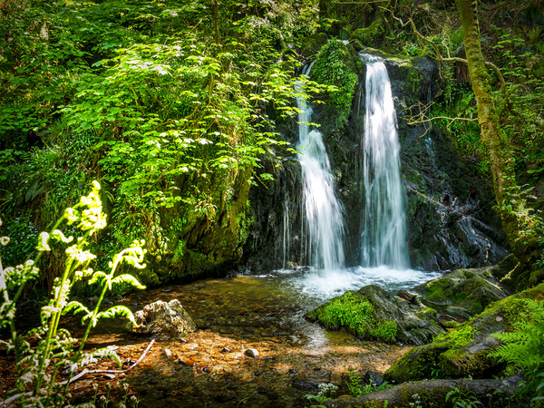 Aberfforest Waterfall, Pembrokeshire, Wales, UK Picture Board by Mark Llewellyn