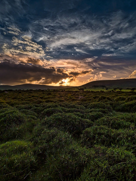 Preseli Sunset, Pembrokeshire, Wales, UK Picture Board by Mark Llewellyn