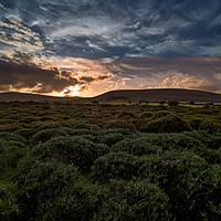 Buy canvas prints of Preseli Sunset, Pembrokeshire, Wales, UK by Mark Llewellyn