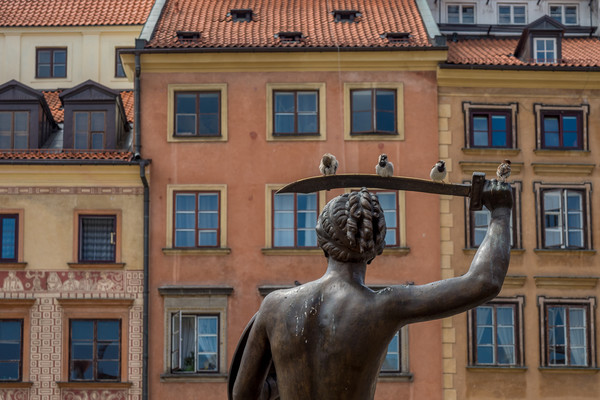 Sparrows on a Sword, Warsaw, Poland Picture Board by Mark Llewellyn