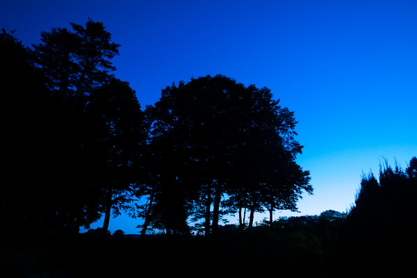 Pembrokeshire Blue Hour, Pembrokeshire, Wales, UK Picture Board by Mark Llewellyn