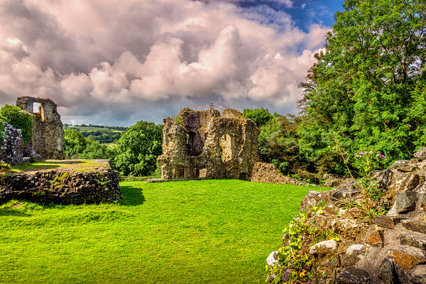 Narberth Castle, Pembrokeshire, Wales, UK Picture Board by Mark Llewellyn