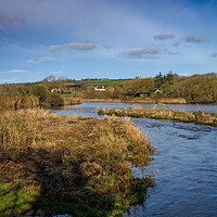 Buy canvas prints of Teifi Marshes, Pembrokeshire, Wales, UK by Mark Llewellyn