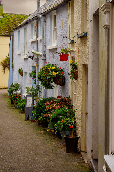 Tenby Street, Pembrokeshire, Wales, UK Picture Board by Mark Llewellyn