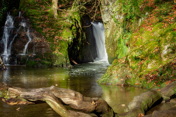 Ffynnone Falls, Pembrokeshire, Wales, UK Picture Board by Mark Llewellyn