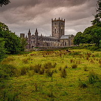 Buy canvas prints of St Davids Cathedral, Pembrokeshire, Wales, UK by Mark Llewellyn