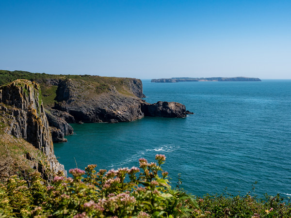 Skrinkle Haven and Caldey Island,, Pembrokeshire,  Picture Board by Mark Llewellyn
