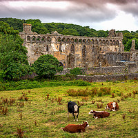 Buy canvas prints of St Davids Bishops Palace, St Davids, Pembrokeshire by Mark Llewellyn