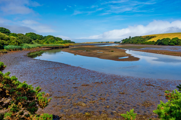 Newport Marshes, Pembrokeshire, Wales, UK Picture Board by Mark Llewellyn